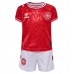 Maillot de foot Danemark Domicile vêtements enfant Europe 2024 Manches Courtes (+ pantalon court)